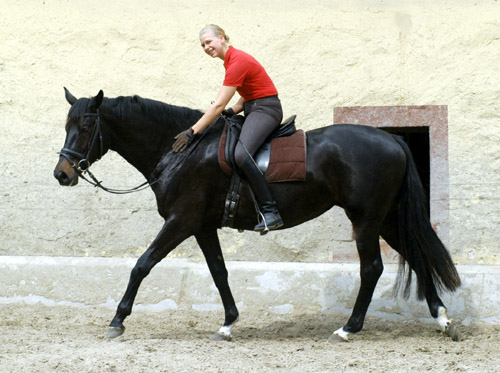 Vitalia v. Exclusiv - Showmaster, Gestt Hmelschenburg, Foto: Beate Langels