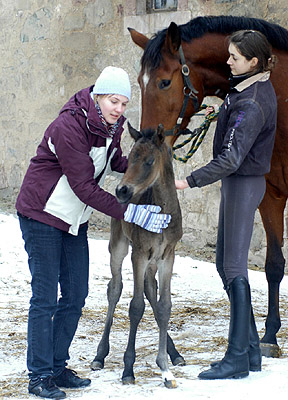 Trakehner Stutfohlen von Insterburg x Freudenfest, wenige Stunden alt - mit Hannah und Patricia