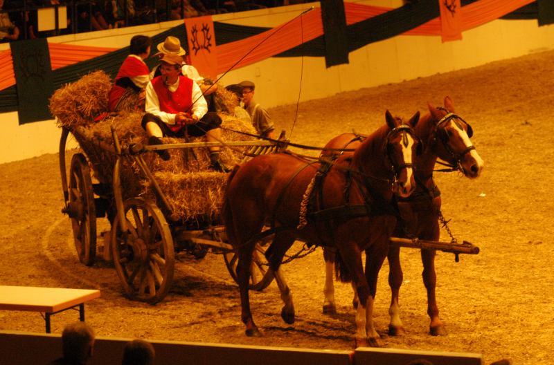 Wehlauer Pferdemarkt - Foto: Beate Langels, Trakehner Gestt Hmelschenburg