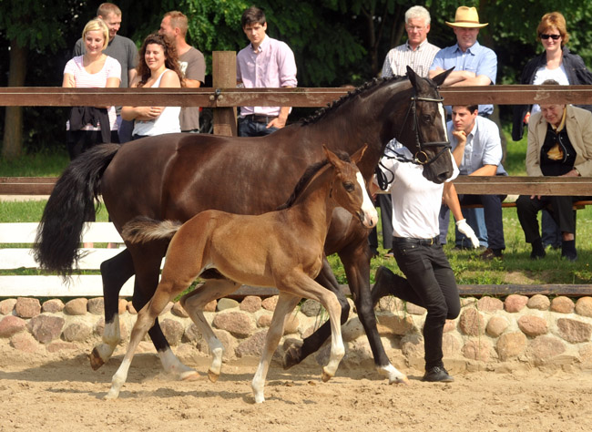 Sieger der Fohlenschau in Schplitz - 30. Juni 2012 - Foto: Beate Langels - Trakehner Gestt Hmelschenburg