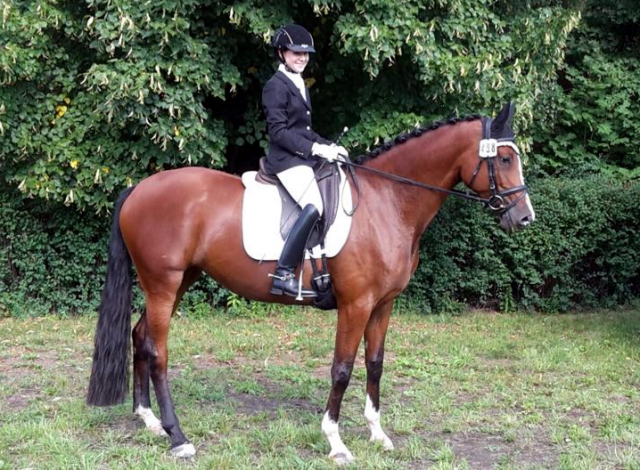 Trakehner Prmienstute Schwalbenpoesie von Exclusiv u.d. Schwalbenfee v. Freudenfest, Foto Beate Langels