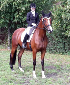 Schwalbenpoesie von Exclusiv - Foto: Marion Delliehausen