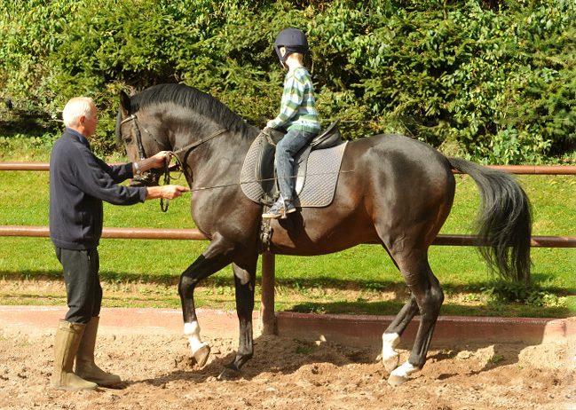 Der 5jhrige Jasper mit dem ebenfalls 5jhrigen Prmienhengst Saint Cyr v. Kostolany, Foto: Beate Langels, Trakehner Gestt Hmelschenburg
