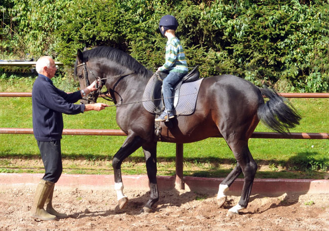 Der 5jhrige Jasper mit dem ebenfalls 5jhrigen Prmienhengst Saint Cyr v. Kostolany, Foto: Beate Langels, Trakehner Gestt Hmelschenburg