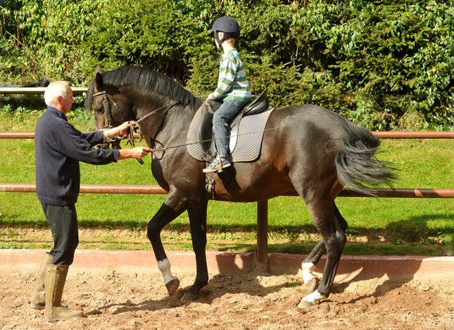 Der 5jhrige Jasper mit dem ebenfalls 5jhrigen Prmienhengst Saint Cyr v. Kostolany, Foto: Beate Langels, Trakehner Gestt Hmelschenburg