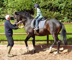 Prmienhengst Saint Cyr v. Kostolany (5jhrig) und der 5jhrige Jasper, Foto: Beate Langels