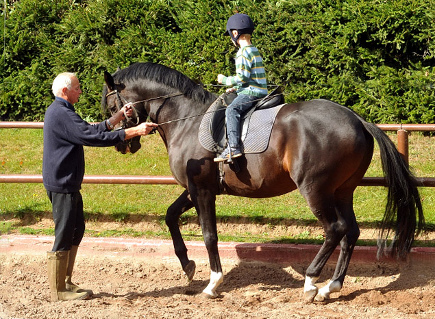 Der 5jhrige Jasper mit dem ebenfalls 5jhrigen Prmienhengst Saint Cyr v. Kostolany, Foto: Beate Langels, Trakehner Gestt Hmelschenburg