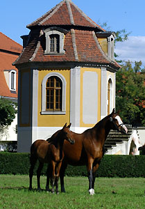 Familie Langels mit ihrem Graditzer-Champion 2008