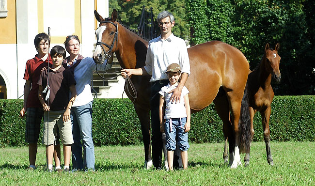 Champion der Hengstfohlen: Brauner Hengst von Shavalou u.d. Pr.St. Grazia Patrizia v. Alter Firtz
Zchter u. Besitzer: Bernhard Langels, Gestt Schplitz
