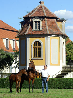 Stutfohlen von Showmaster u.d. Tabea v. Summertime
