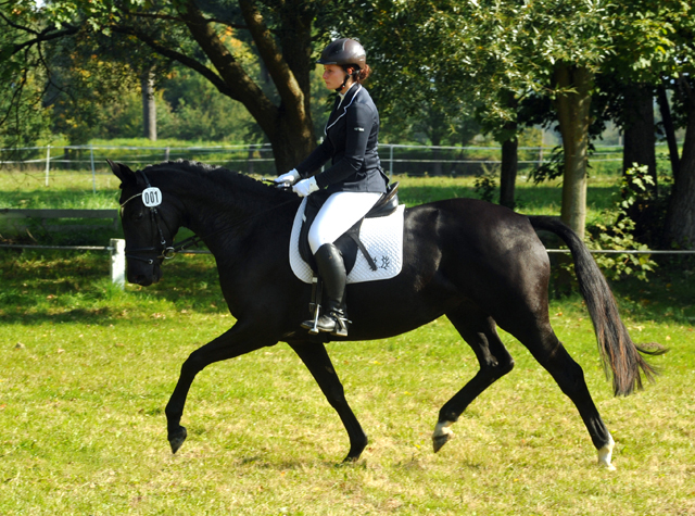 Ginger Rogers von Symont u.d. Greta Garbo v. Alter Fritz, Foto: Beate Langels, Trakehner Gestt Hmelschenburg