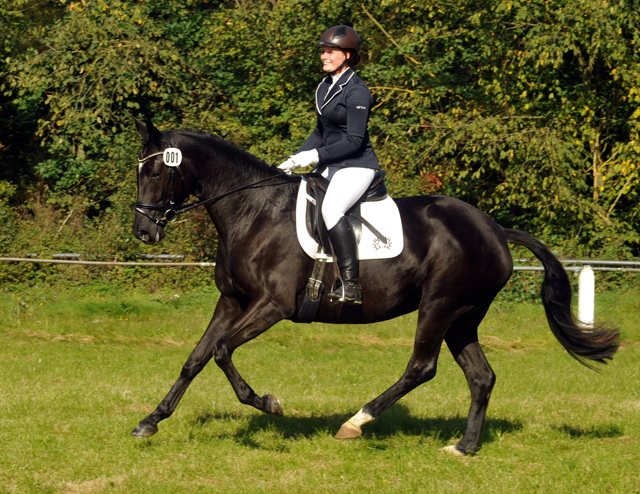 Ginger Rogers von Symont u.d. Greta Garbo v. Alter Fritz, Foto: Beate Langels, Trakehner Gestt Hmelschenburg