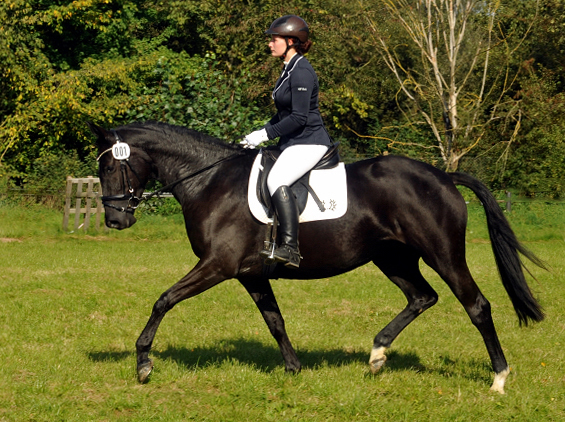 Ginger Rogers von Symont u.d. Greta Garbo v. Alter Fritz, Foto: Beate Langels, Trakehner Gestt Hmelschenburg