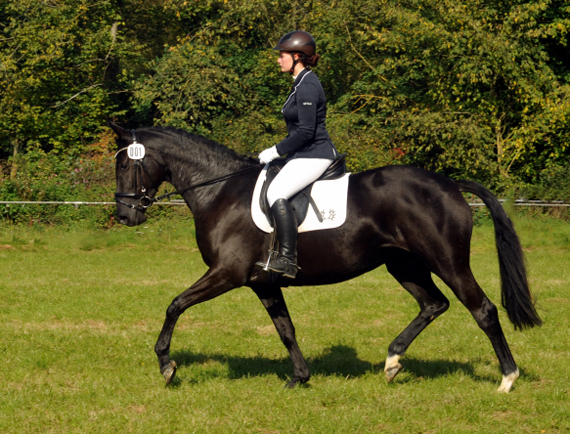 Ginger Rogers von Symont u.d. Greta Garbo v. Alter Fritz, Foto: Beate Langels, Trakehner Gestt Hmelschenburg