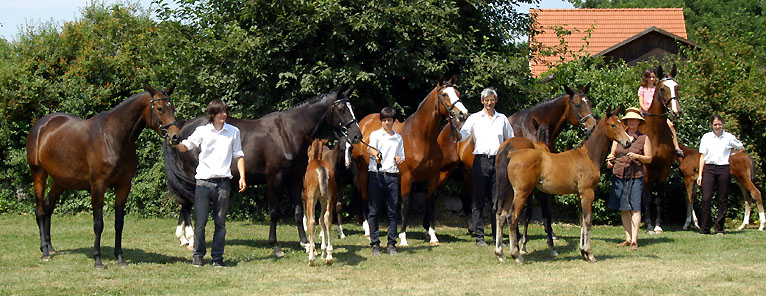 Gloriette mit ihren Tchtern und Enkeln in Schplitz - Foto: Beate Langels - Trakehner Gestt Hmelschenburg