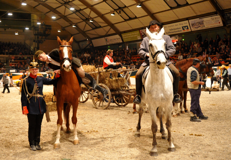 Wehlauer Pferdemarkt - Foto: Beate Langels, Trakehner Gestt Hmelschenburg