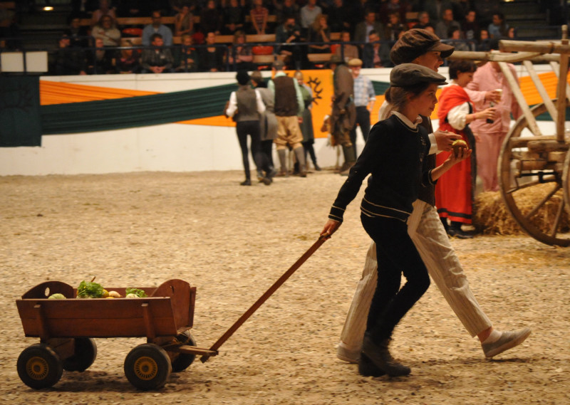 Wehlauer Pferdemarkt - Foto: Beate Langels, Trakehner Gestt Hmelschenburg