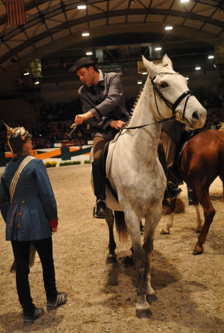 Wehlauer Pferdemarkt - Foto: Beate Langels, Trakehner Gestt Hmelschenburg