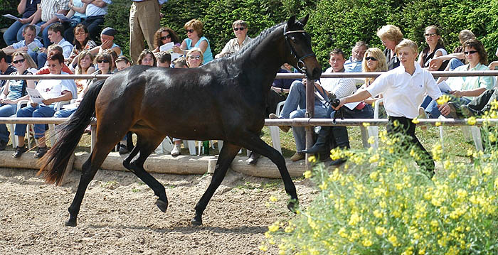 Sacre du printemps v. Freudenfest u.d. Pr.St. Sacre Noir v. Kostolany - Upan la Jarthe AA