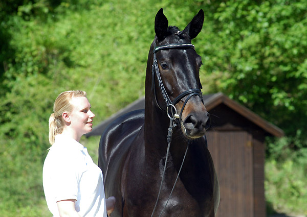 Vitalia v. Exclusiv - Showmaster, Gestt Hmelschenburg, Foto: Beate Langels