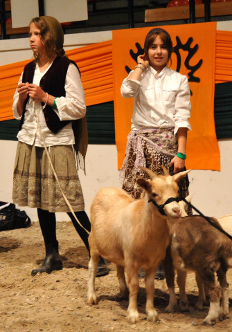 Wehlauer Pferdemarkt - Foto: Beate Langels, Trakehner Gestt Hmelschenburg