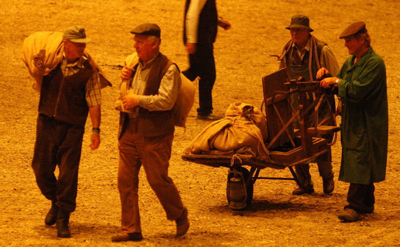 Wehlauer Pferdemarkt - Foto: Beate Langels, Trakehner Gestt Hmelschenburg