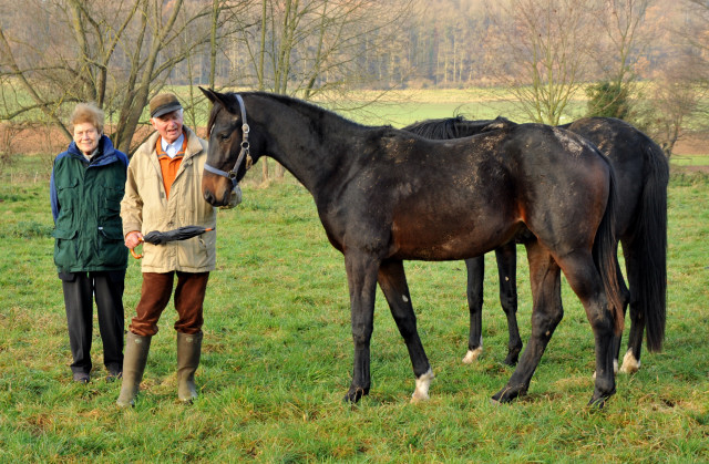 Ein- und zweijhrige Hengste und Wallache in den Emmerauen - Gestt Hmelschenburg 7.12.2014, Foto: Beate Langels, 
Trakehner Gestt Hmelschenburg - Beate Langels