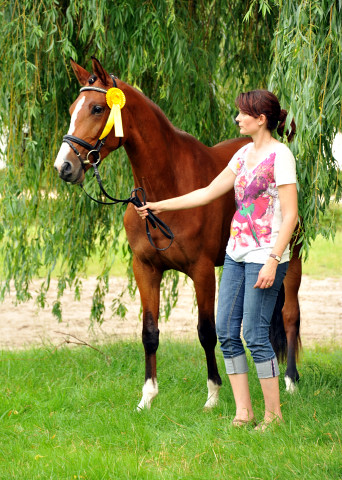 Schwalbenpoesie von Exclusiv- copyright Beate Langels, Trakehner 
Gestt Hmelschenburg