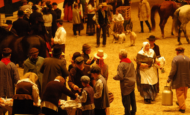 Wehlauer Pferdemarkt - Foto: Beate Langels, Trakehner Gestt Hmelschenburg