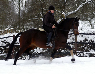 Pr.St. Verouschka v. Perechlest u.d. Vicenza v. Showmaster - Foto: Beate Langels