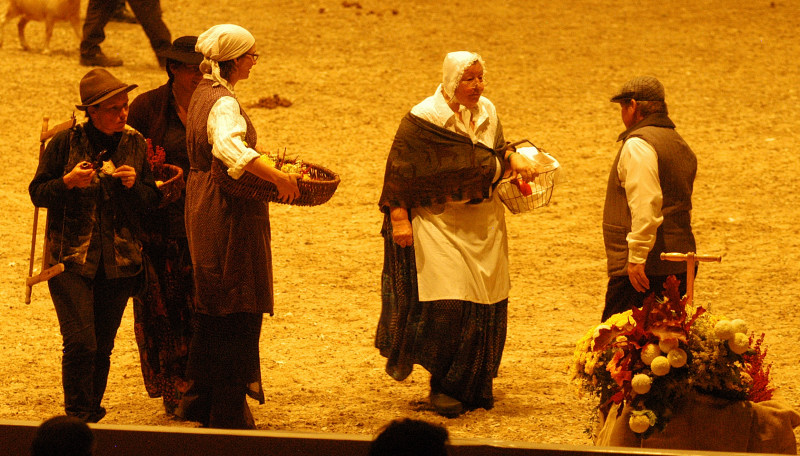 Wehlauer Pferdemarkt - Foto: Beate Langels, Trakehner Gestt Hmelschenburg