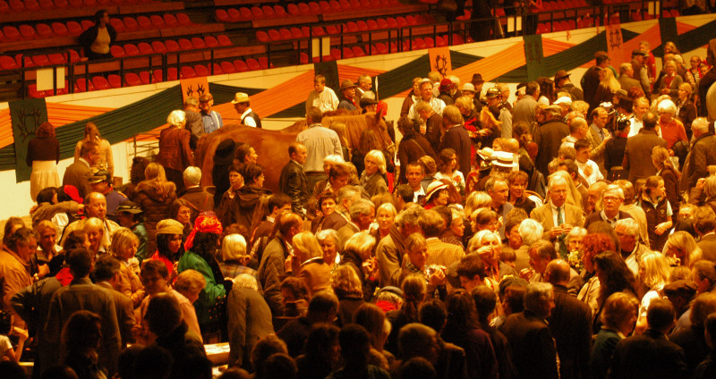 Wehlauer Pferdemarkt - Foto: Beate Langels, Trakehner Gestt Hmelschenburg