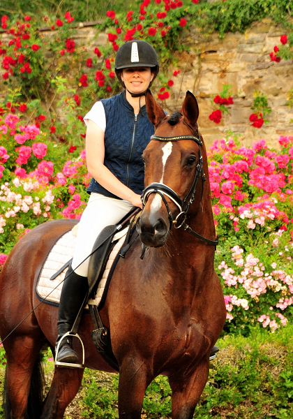 High Motion von Saint Cyr im Juni 2020 - Foto: Beate Langels - Trakehner Gestt Hmelschenburg