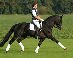 Trakehner Hengst Alter Fritz und Marion, Kreismeister 2003