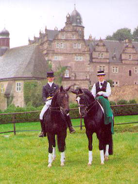 Exclusiv by Star Way and Alter Fritz by Chardonnay