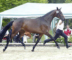 Prmienanwrterin Arannjana v. Freudenfest - Showmaster