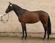 Balalaika le Fay von Summertime , Prmienanwrterin, Foto: Kiki Oellrich