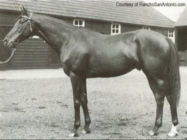 Blenheim xx, Foto: Archiv