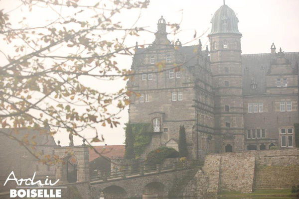 in der Gruppe der Jhrlingshengste  - Foto: Gabriele - Trakehner Gestt Hmelschenburg