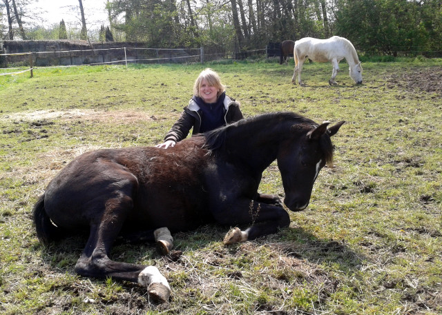 Oldenburger Stutfohlen La Mirabelle von Saint Cyr u.d. Libelle v. Leopold u.d. Odette v. Dornbun, Foto: A.  Bremeyer - Trakehner Gestt Hmelschenburg