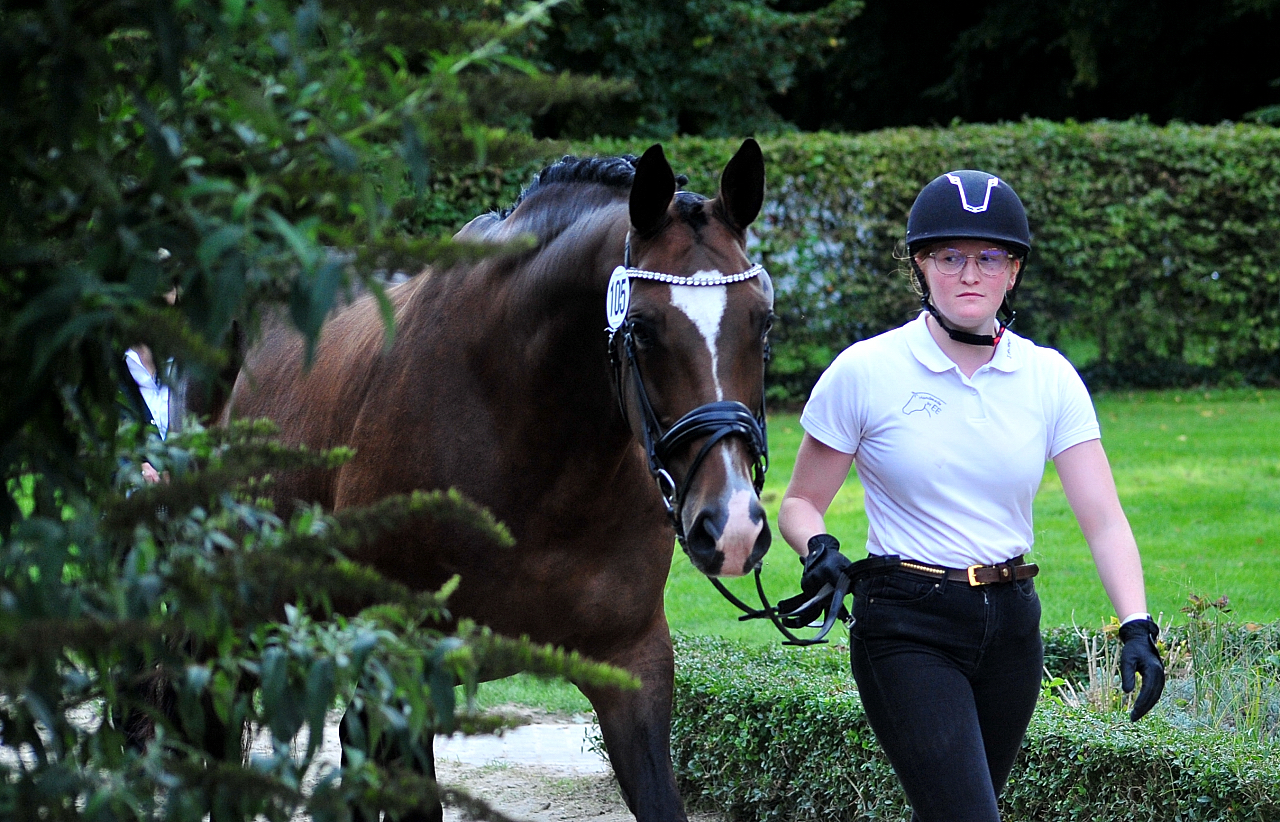 Tacyra - Trakehner Bundesstutenschau Kranichstein 2025 - Foto: Beate Langels - Trakehner Gestt Hmelschenburg