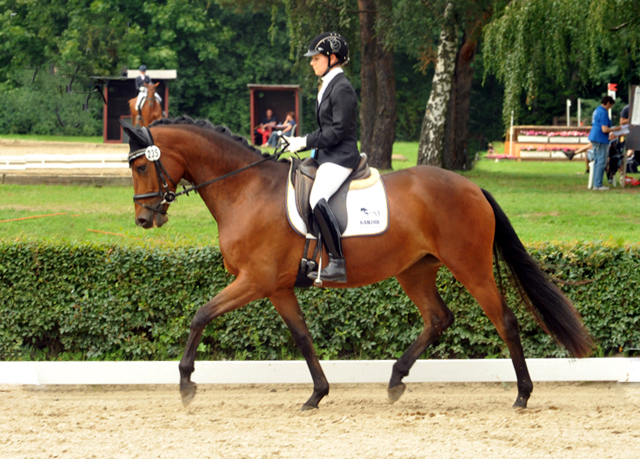 Sieger der Stutenleistungsprfung: Katniss Everdeen v. Saint Cyr - Gestt Schplitz - copyright Bernhard Langels, Trakehner Gestt Hmelschenburg