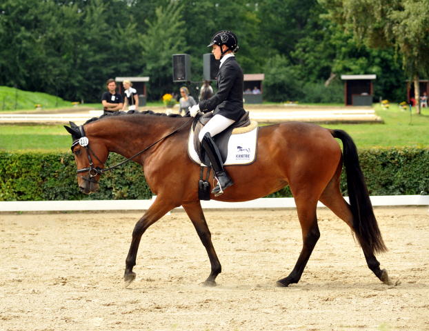 Sieger der Stutenleistungsprfung: Katniss Everdeen v. Saint Cyr - Gestt Schplitz - copyright Bernhard Langels, Trakehner Gestt Hmelschenburg