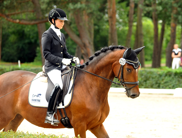 Sieger der Stutenleistungsprfung: Katniss Everdeen v. Saint Cyr - Gestt Schplitz - copyright Bernhard Langels, Trakehner Gestt Hmelschenburg