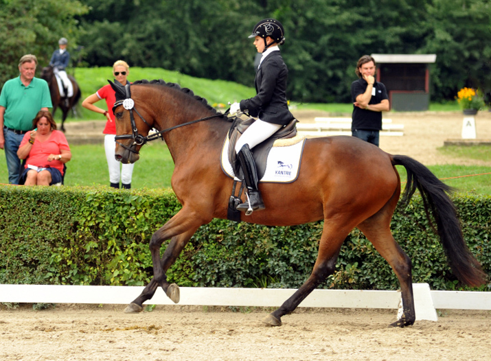 Sieger der Stutenleistungsprfung: Katniss Everdeen v. Saint Cyr - Gestt Schplitz - copyright Bernhard Langels, Trakehner Gestt Hmelschenburg