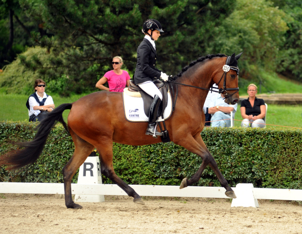 Sieger der Stutenleistungsprfung: Katniss Everdeen v. Saint Cyr - Gestt Schplitz - copyright Bernhard Langels, Trakehner Gestt Hmelschenburg