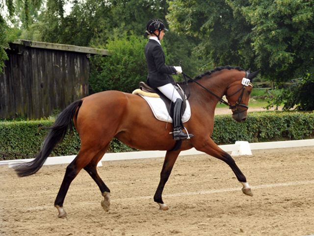Trakehner Stute GALATEA von Syriano u.d. Pr.St. Gracia Patricia II v. Alter Fritz - Gestt Schplitz - Foto: Beate Langels