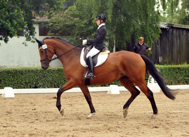 Trakehner Stute GALATEA von Syriano u.d. Pr.St. Gracia Patricia II v. Alter Fritz - Gestt Schplitz - Foto: Beate Langels