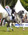 Impressionen vom internationalen Trakehner Bundesturnier in Hannover - Juli 2015 - Foto Beate Langels- Trakehner Gestt Hmelschenburg