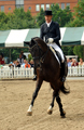 Impressionen vom internationalen Trakehner Bundesturnier in Hannover - Juli 2015 - Foto Beate Langels- Trakehner Gestt Hmelschenburg